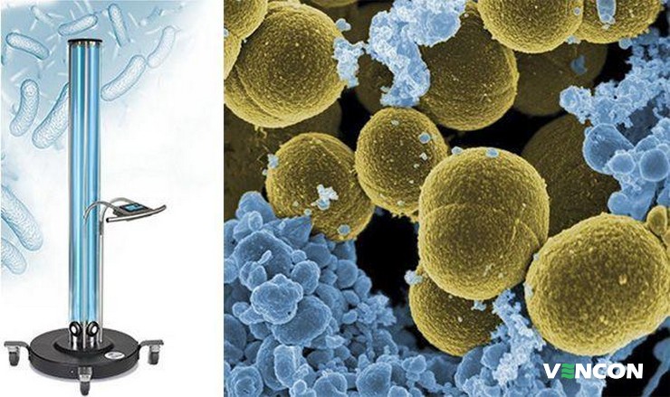 Бактерицидні опромінювачі допомагають боротися вірусами, бактеріями...