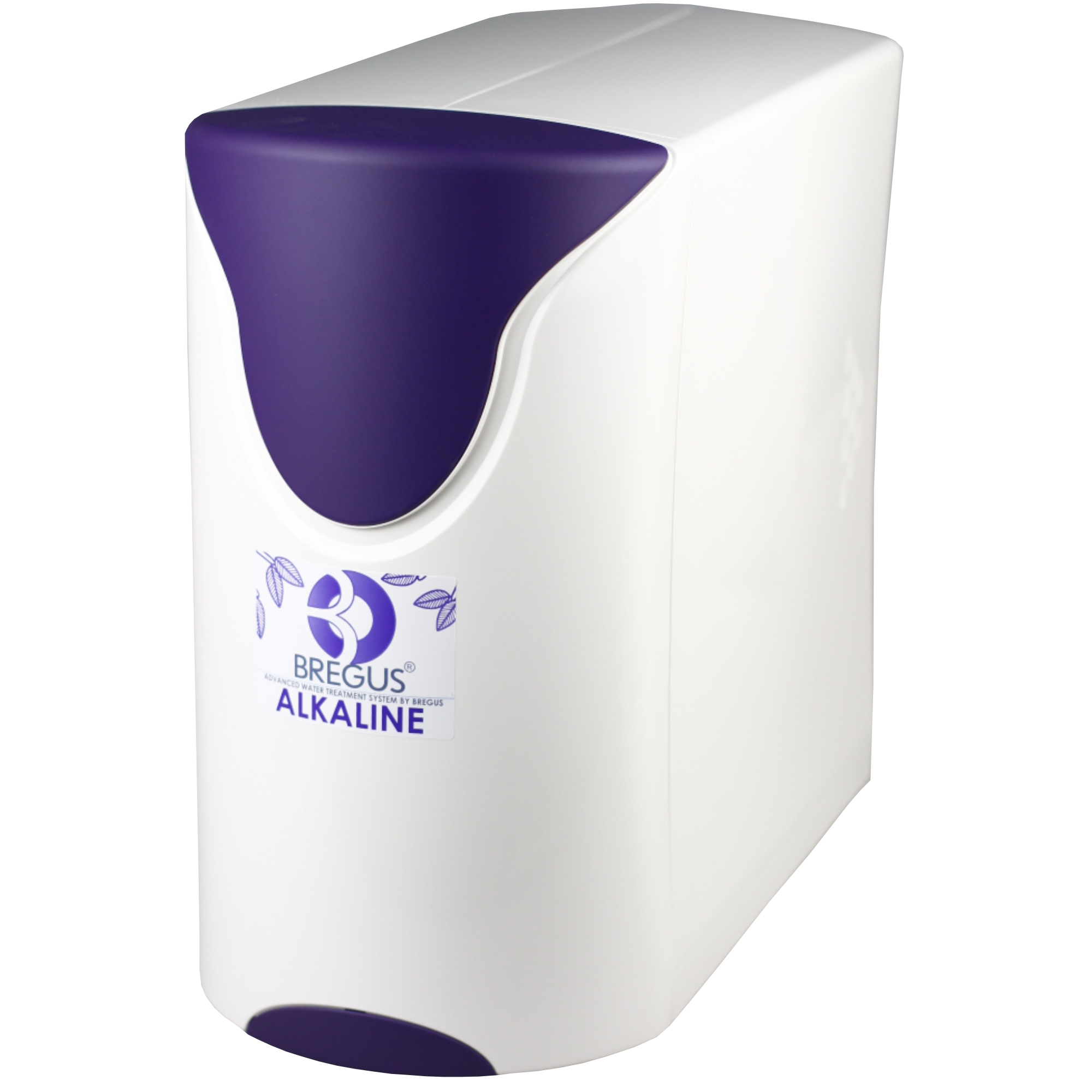 Bregus Alkaline-Redox