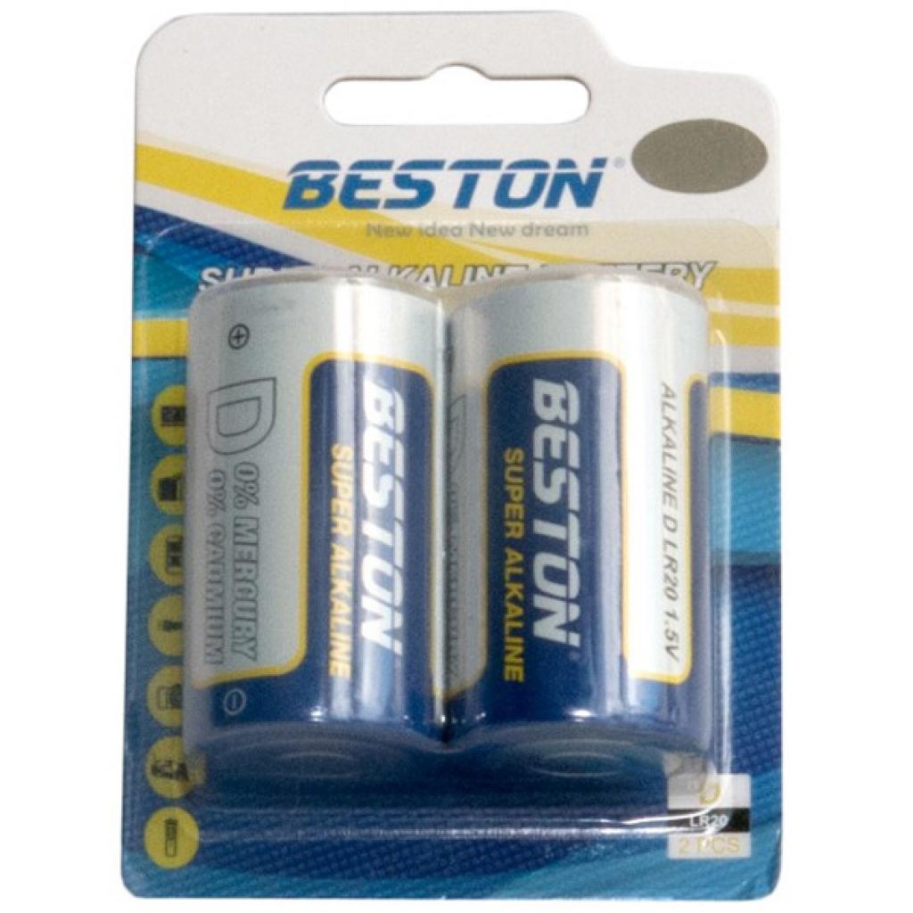 Beston D LR20 * 2 (AAB1846)