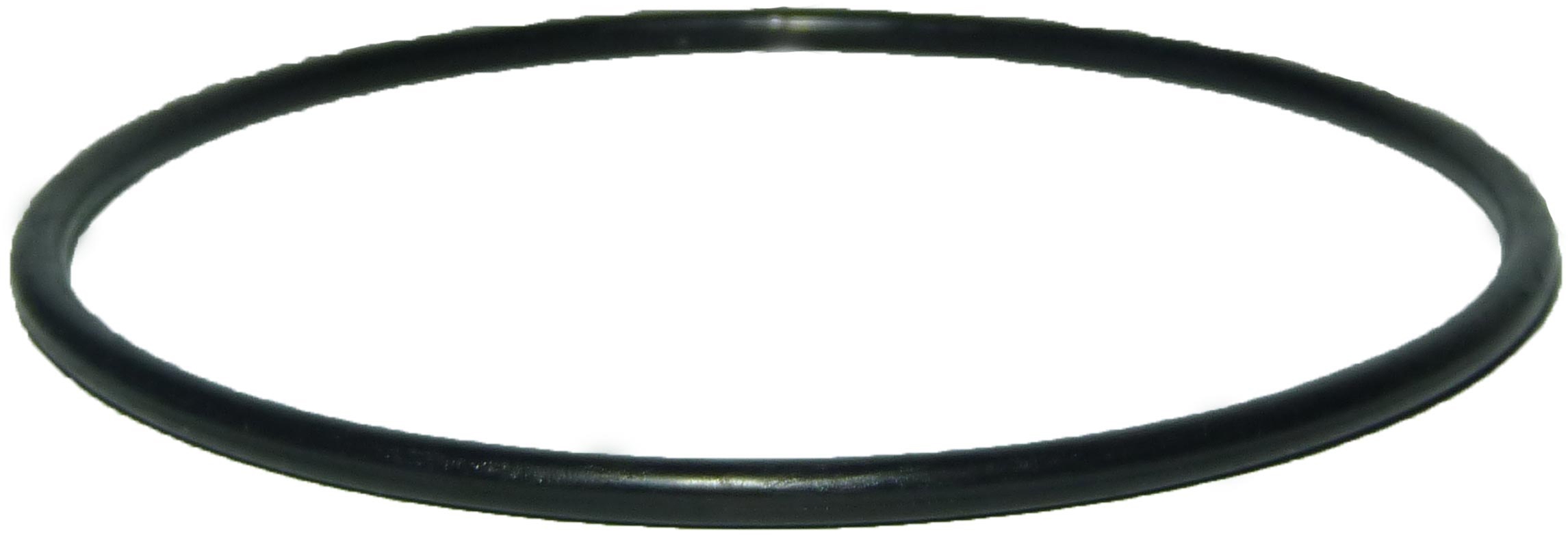 Уплотнительное кольцо Pentek  1″ Big Blu (151122) в интернет-магазине, главное фото