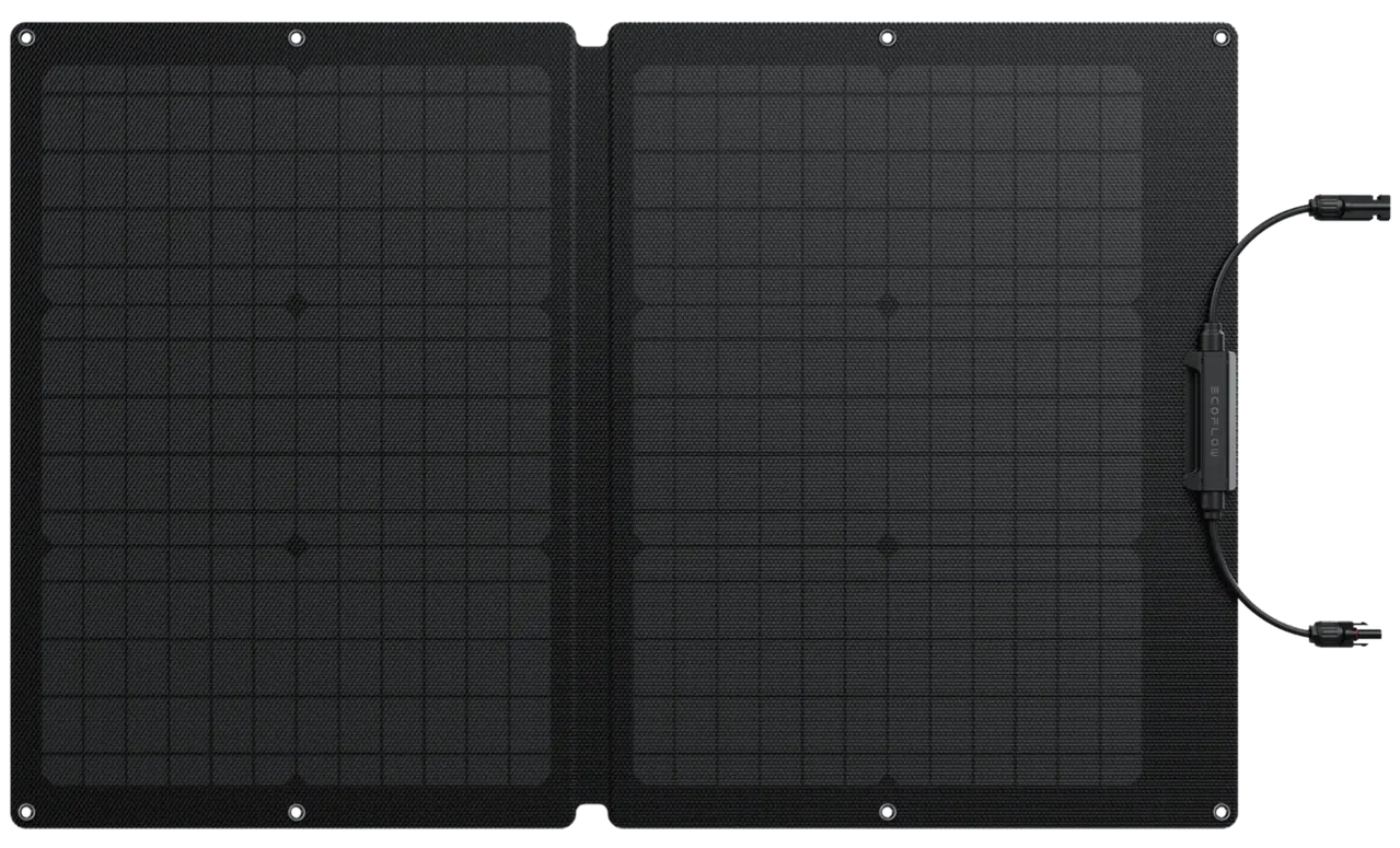 EcoFlow 60W Solar Panel