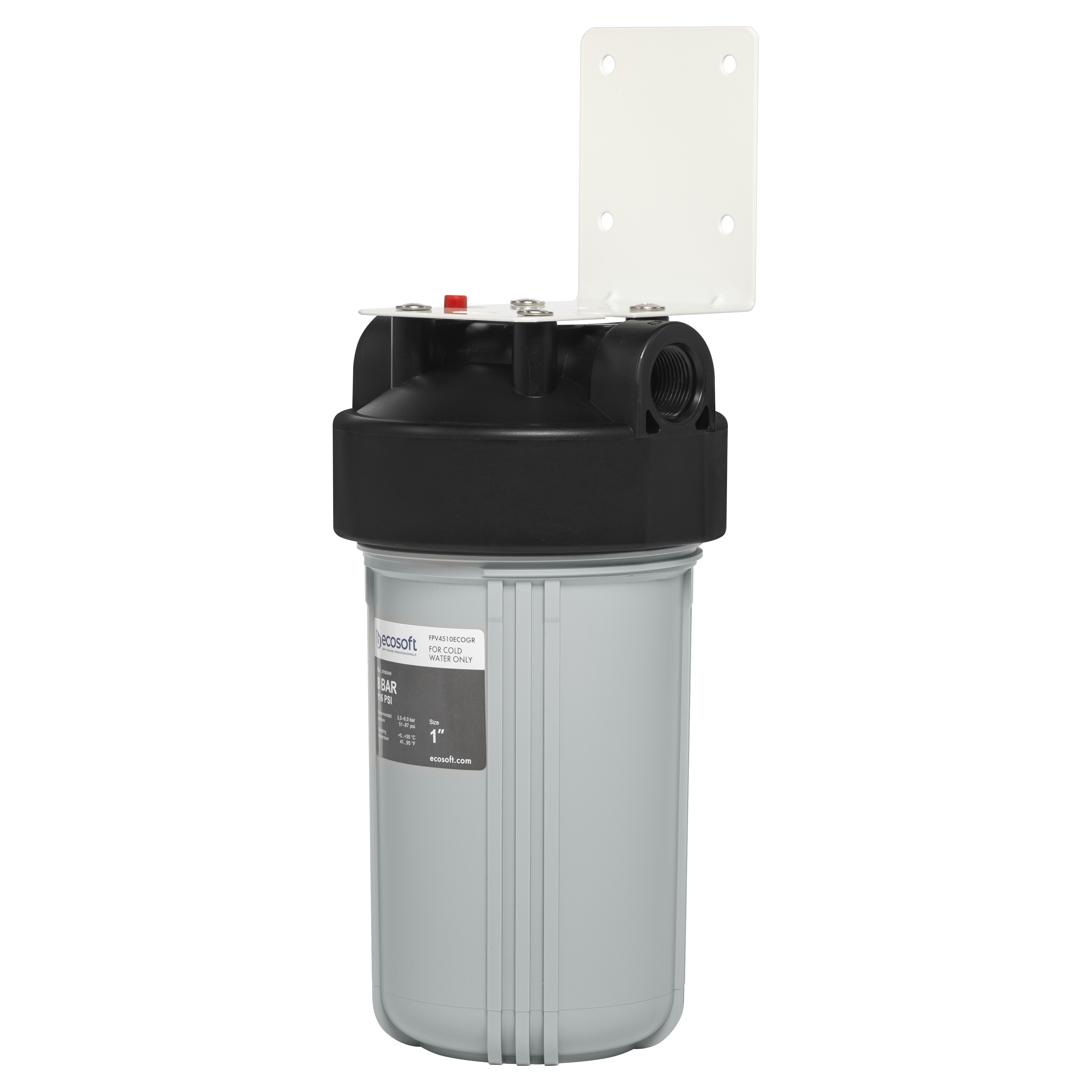 Характеристики фільтр для очищення води від іржі та піску Ecosoft BB10 1" (FPV4510ECOGR)