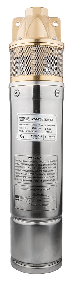 Forwater 4SKM 100 (CV018792)