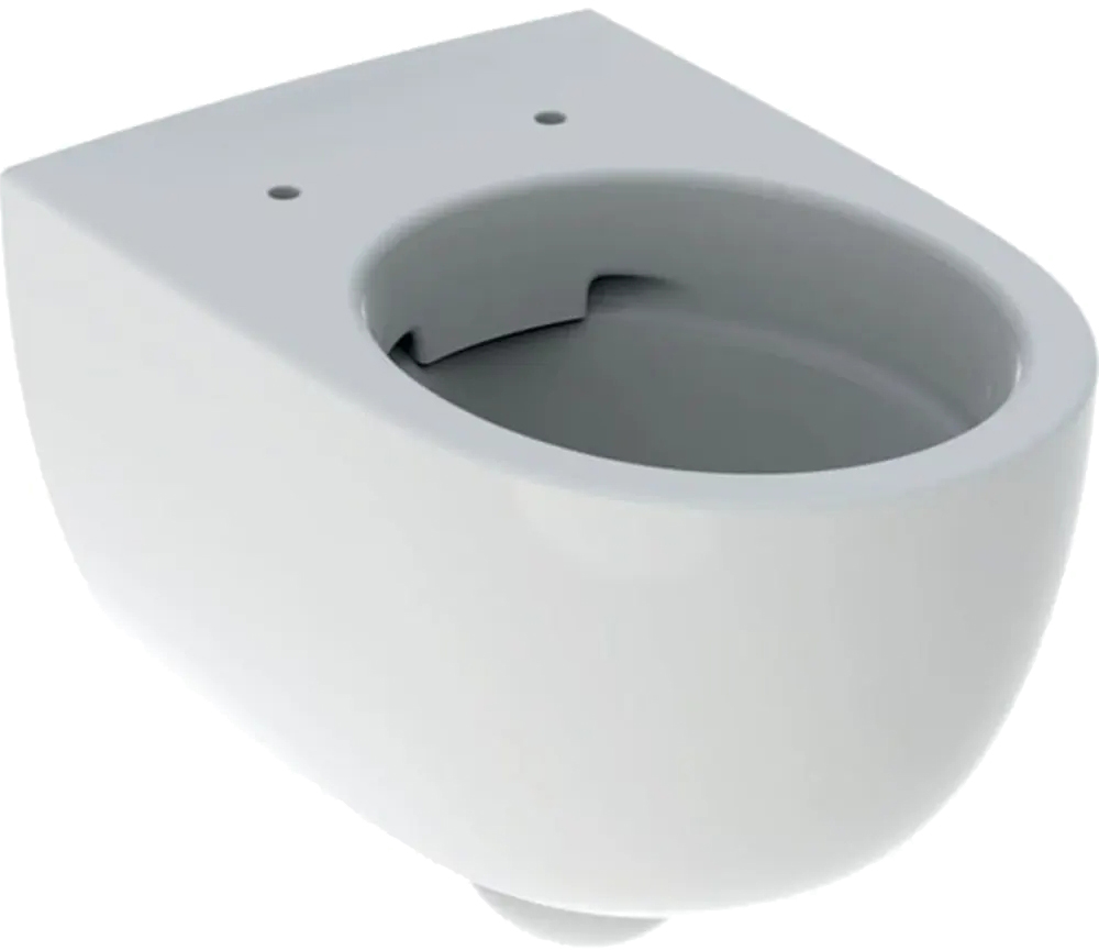 Унітаз підвісний Geberit SelNova Rimfree 500.694.01.2