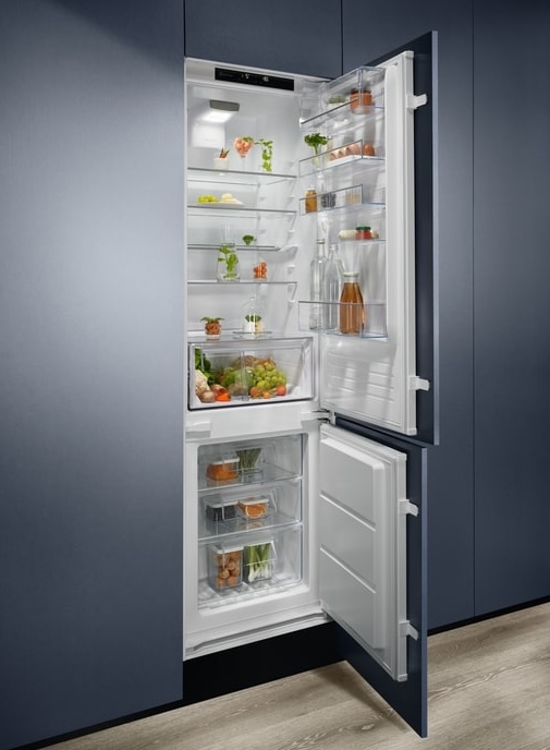 Холодильник Electrolux RNT6TE19S огляд - фото 8