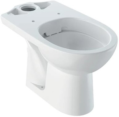 Чаша унітаза Geberit Selnova Rimfree 500.283.01.1
