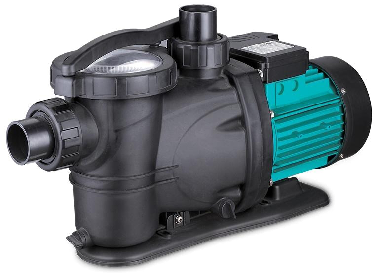 Leo XKP554 (772221)