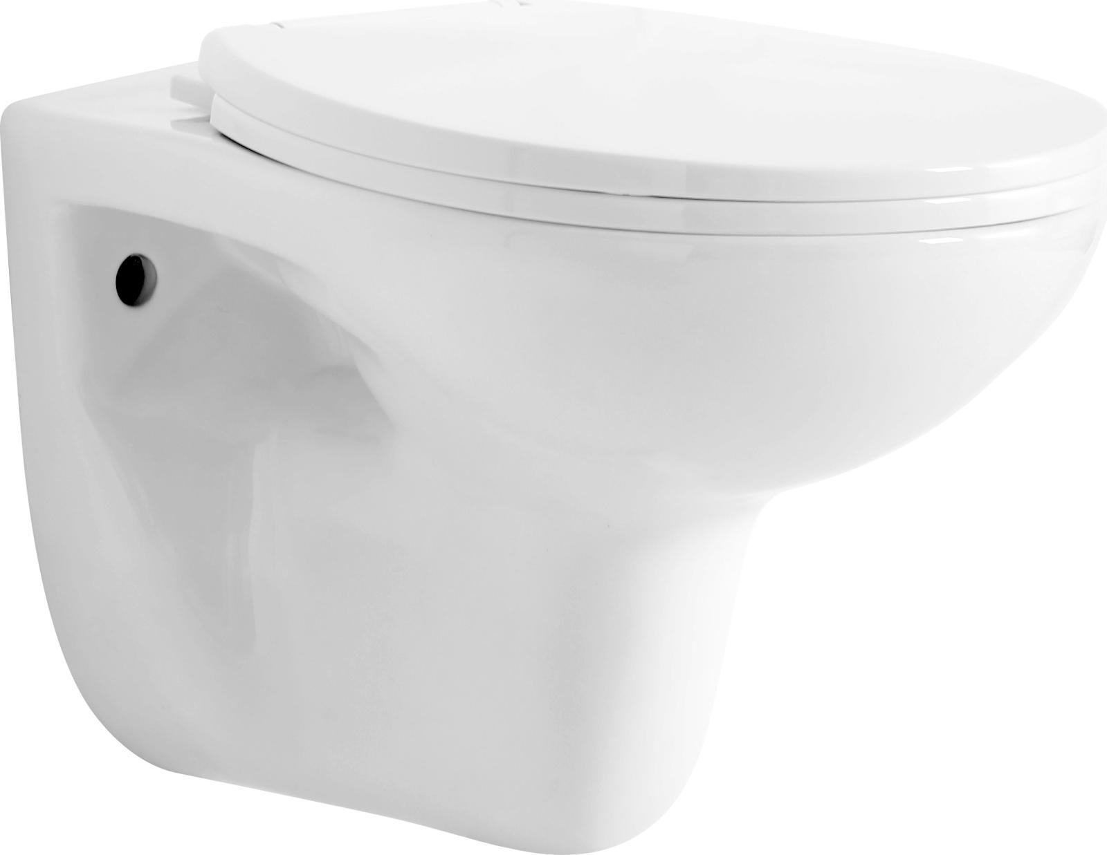 Ціна унітаз підвісний RJ Flip Rimless RJCEJ0005 в Києві
