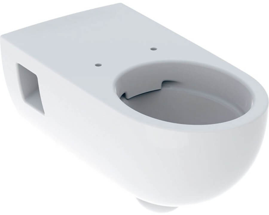 Унітаз підвісний Geberit Selnova Comfort Premium 500.693.01.2