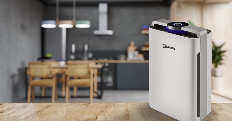 Очищувач повітря Prana Air Cleaner Pro в інтер'єрі